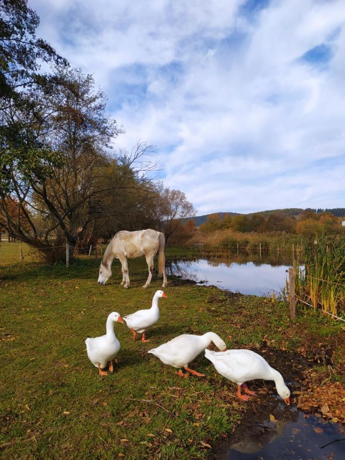 Podkrovní apartmán Pololáň u rybníka Nová Ves Exterior foto