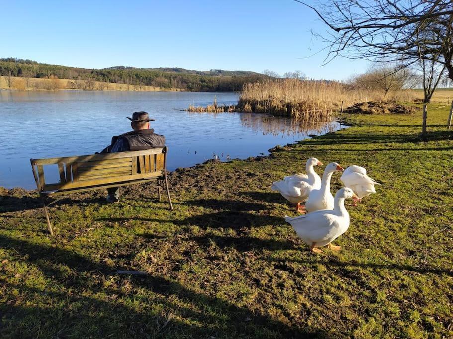 Podkrovní apartmán Pololáň u rybníka Nová Ves Exterior foto